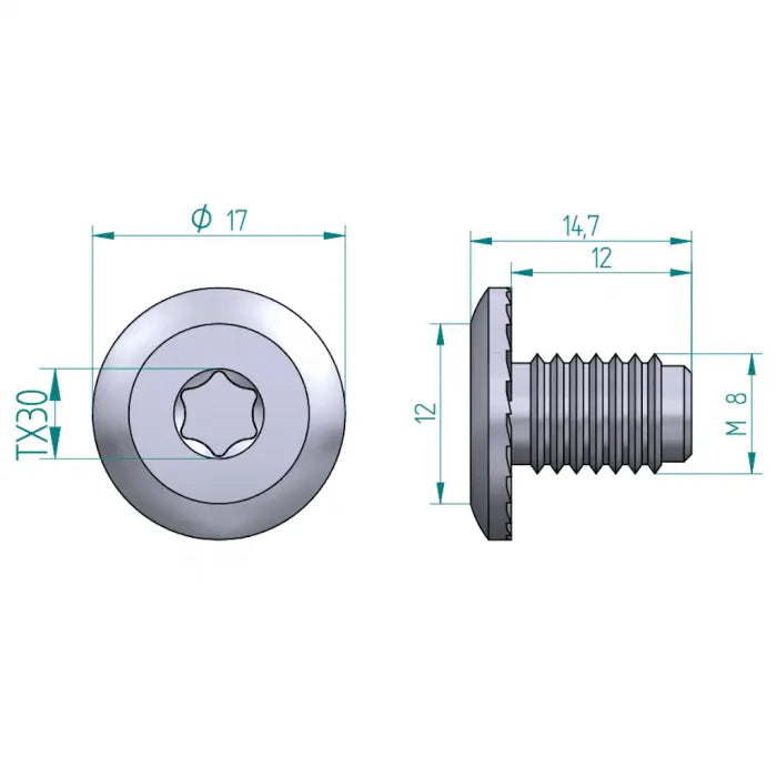 Flachkopf Schraube M8 TORX 30 Schweighöfer Tore
