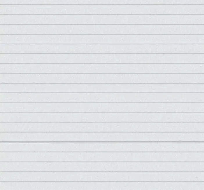 Innenansicht des Garagentors mit weißer Rückseite & TS100-Zugfederführung.