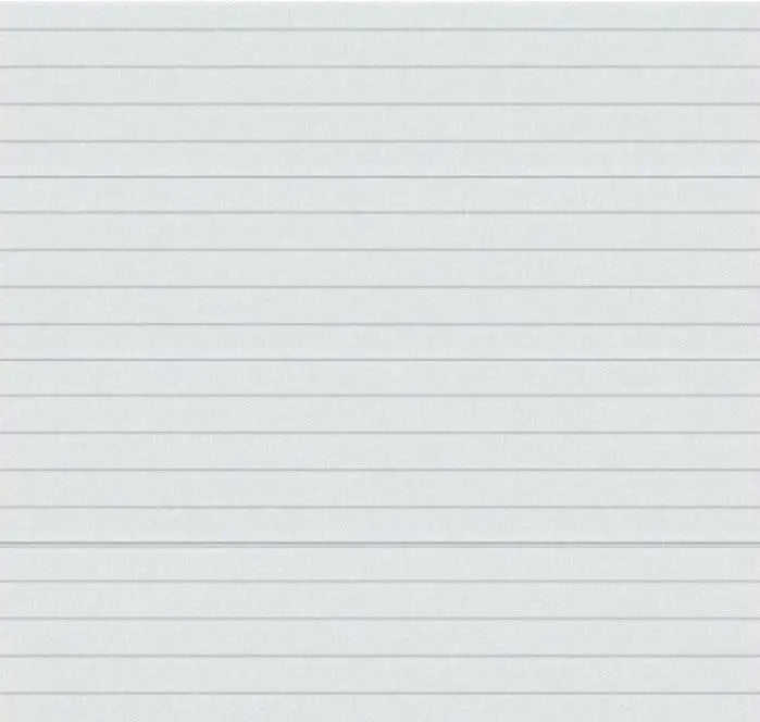 Innenansicht des Garagentors mit TS100-System und weißer Rückseite.