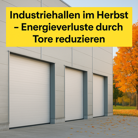Industriehalle mit abgedichteten Sektionaltoren im Herbst von Tormeister 24