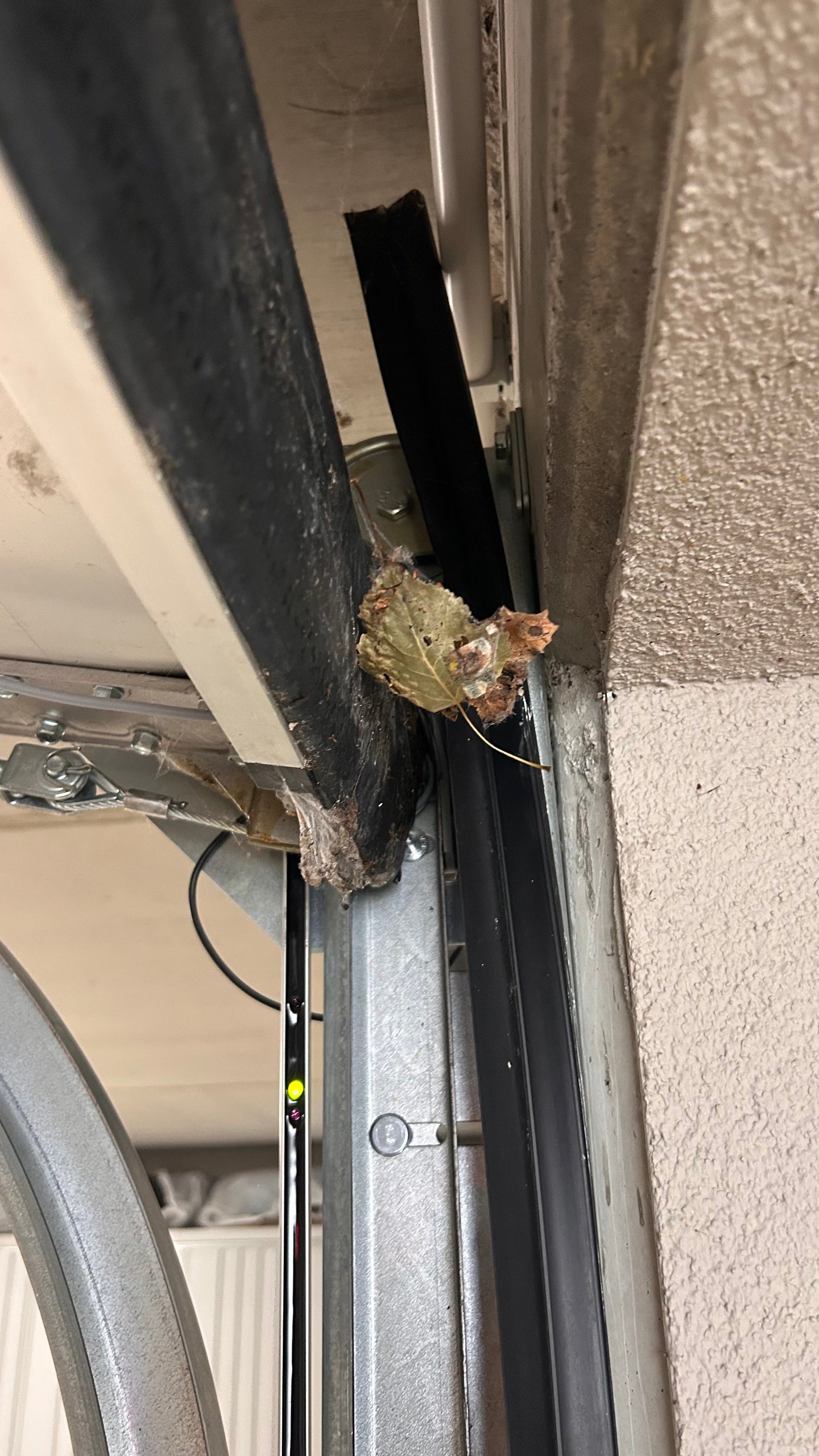 Seil franst aus – Beispiel für verschlissene Litzen