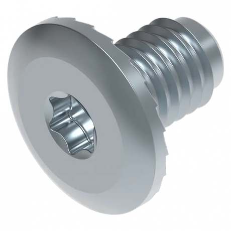 Flachkopf Schraube  M8 TORX 30 Schweighöfer Tore